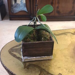 Meet your Posher, Althea